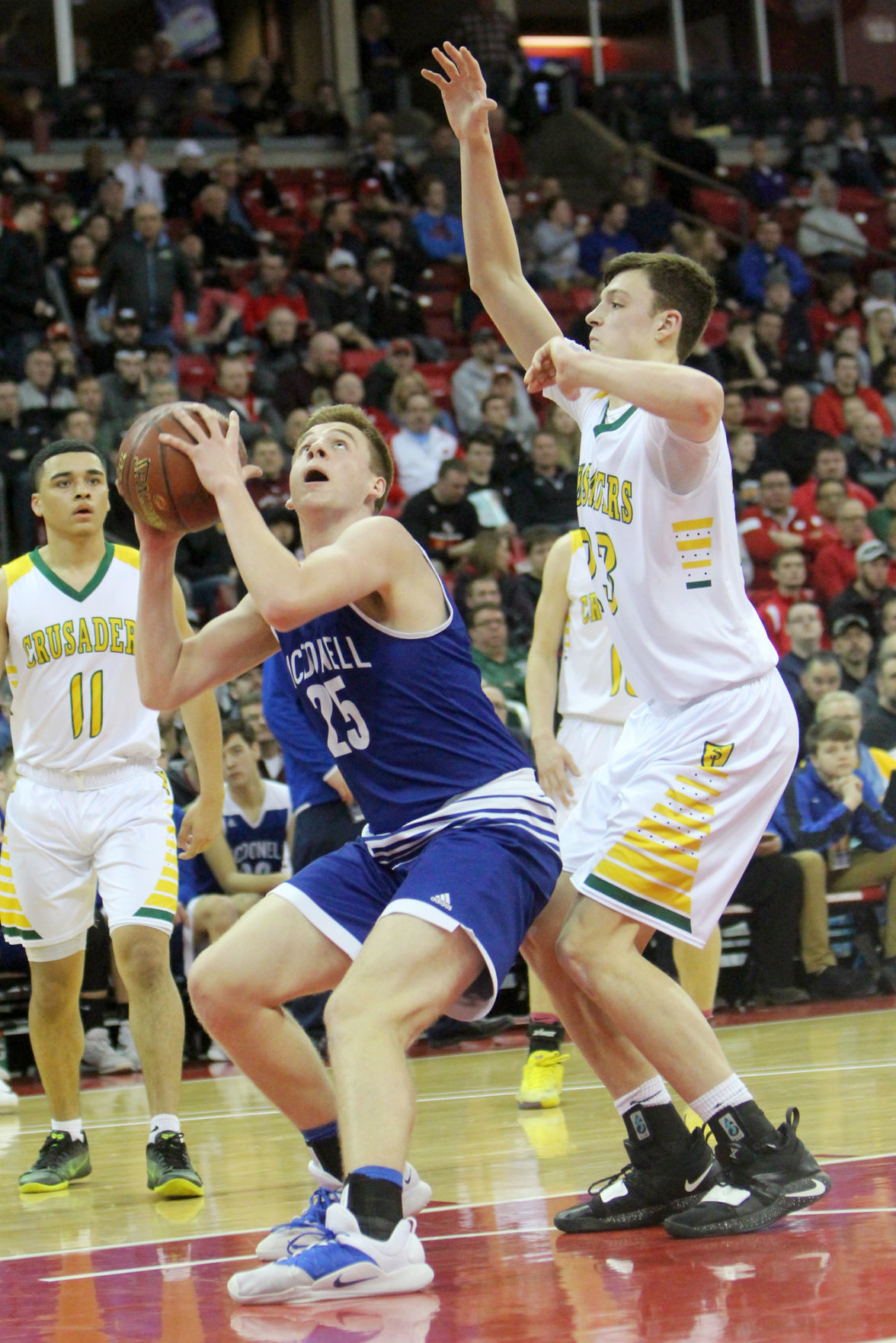 McDonell boys basketball vs Sheboygan Area Lutheran 3-15-19
